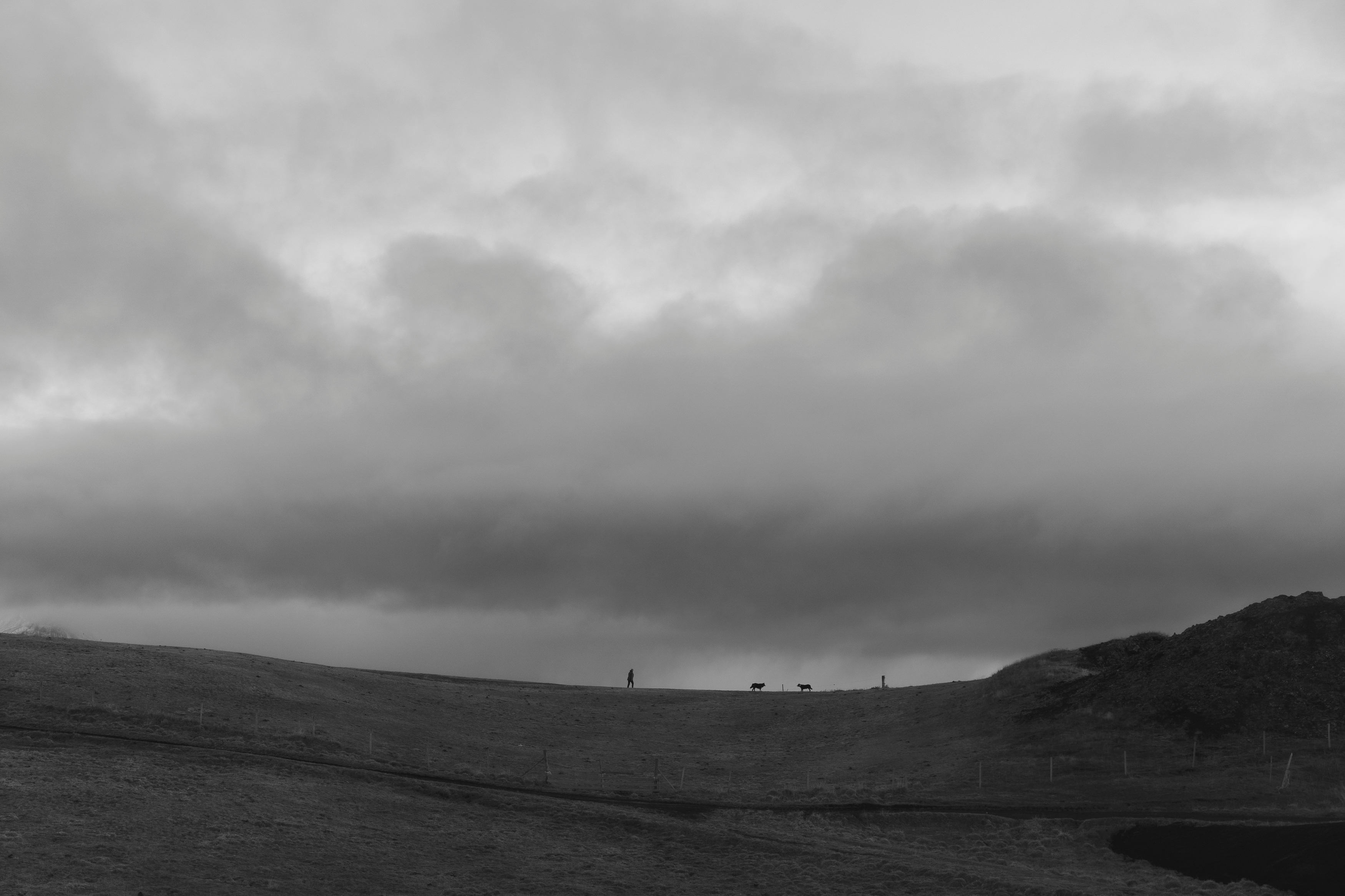 Projekt: TENDERNESS OF THE NORTH